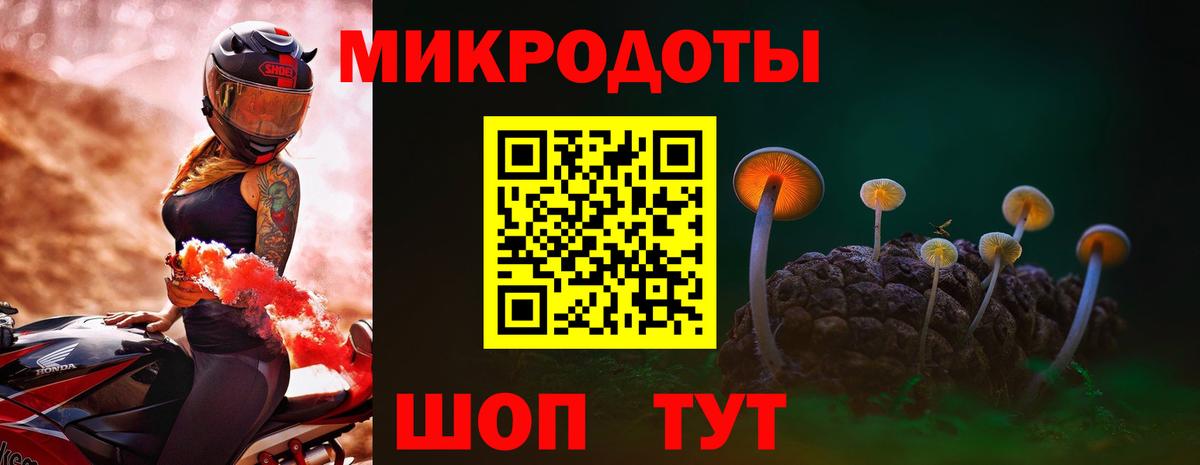Псилоцибиновые грибы Psilocybe  Вход с VPN  Псилоцибиновые грибы Psilocybe  Киселёвск 